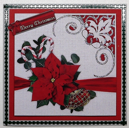 Australian Pointsettia Christmas Card  by Selina Dittmann