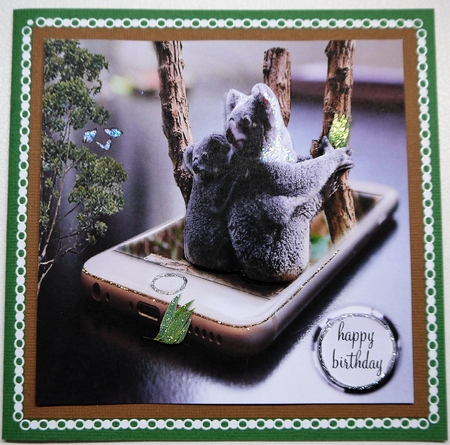 koala by Selina Dittmann