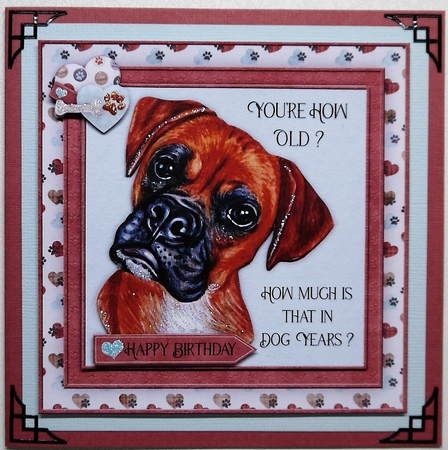 Dog Years Birthday Mini Kit by Selina Dittmann