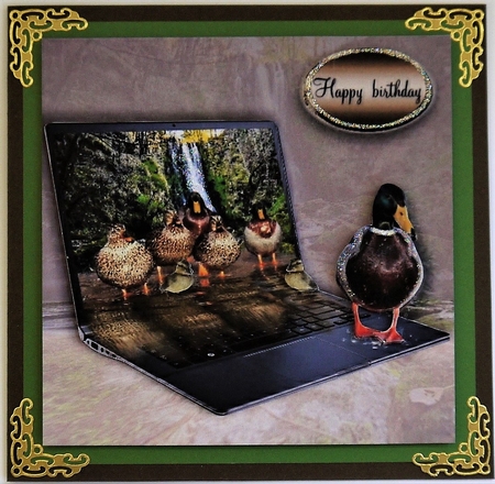 ducks by Selina Dittmann