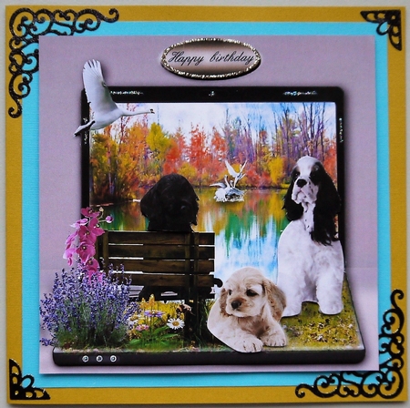 American cocker spaniel by Selina Dittmann