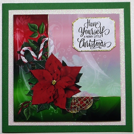 Christmas Poinsettia  by Selina Dittmann