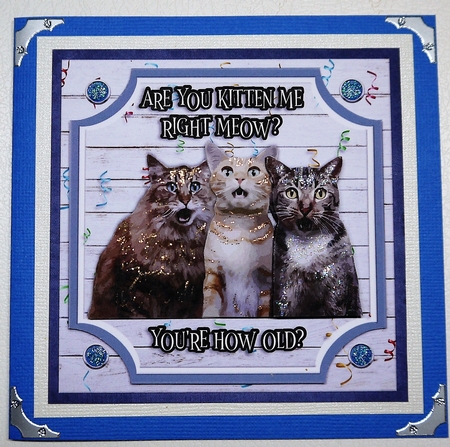 ARE YOU KITTEN ME? by Selina Dittmann