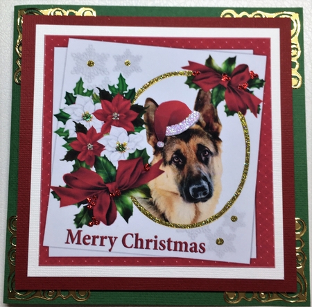 7x7 Germen Shepherd Christmas wishes by Selina Dittmann