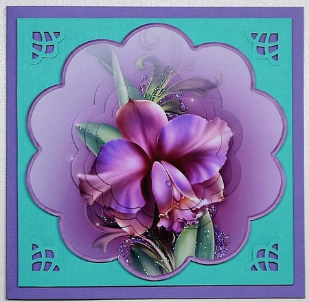 Iris scallop 6x6 by Selina Dittmann