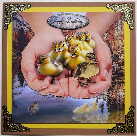 ducklings to water by Selina Dittmann