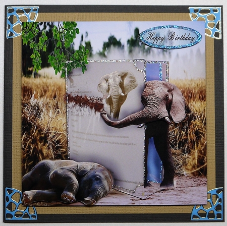 book on elephants  by Selina Dittmann