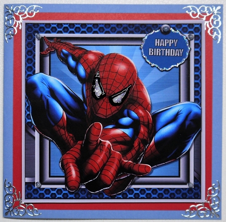 Spiderman Birthday by Selina Dittmann