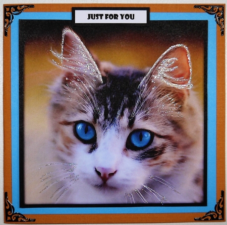 Cute Cat Quick Card 2 by Selina Dittmann