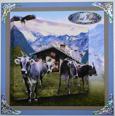 swiss cows by Selina Dittmann