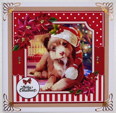Merry Christmas Dog by Selina Dittmann
