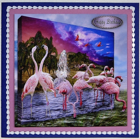 flamingo by Selina Dittmann