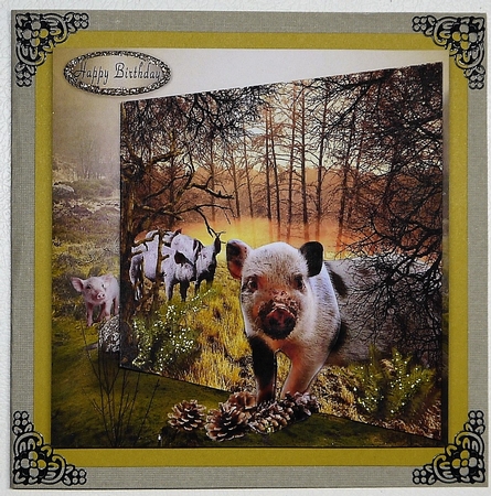 forest pigs  by Selina Dittmann