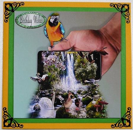 birds at the falls by Selina Dittmann