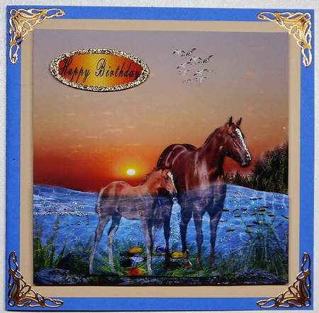 horses in the water by Selina Dittmann