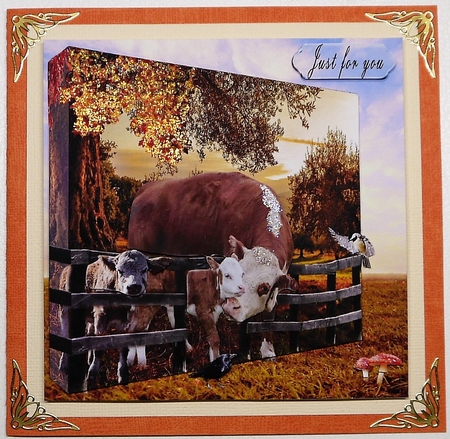 cattle  by Selina Dittmann
