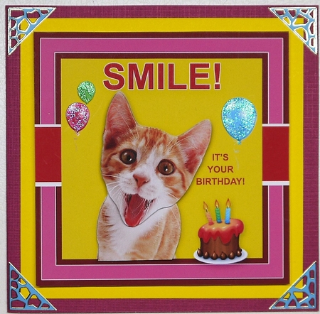 Smile, Its Your Birthday by Selina Dittmann