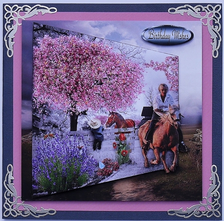 cherry blossom ranch by Selina Dittmann