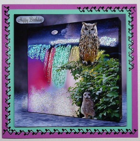owls at the falls  by Selina Dittmann