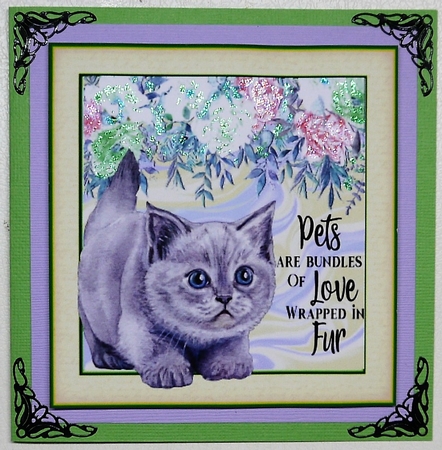 8x8 Beautiful Grey Kitten with Quote by Selina Dittmann