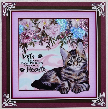 8x8 Beautiful Tabby Kitten with Quote by Selina Dittmann