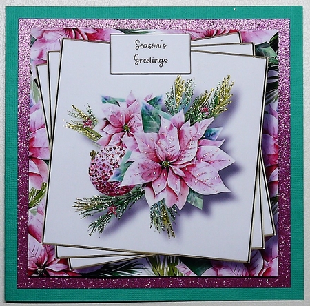 Beautiful Pink Poinsettia 8x8 by Selina Dittmann
