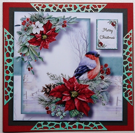 Gorgeous Red Poinsettia And Bird 8x8 by Selina Dittmann