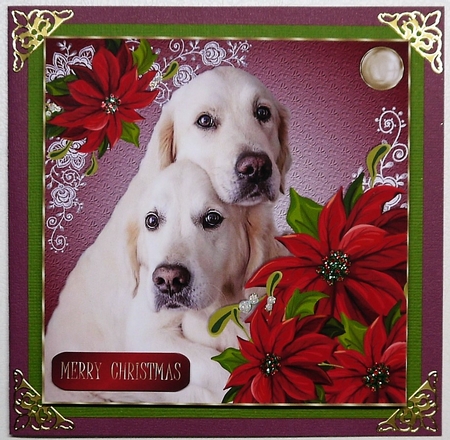 Merry Christmas Jack n Jill by Selina Dittmann