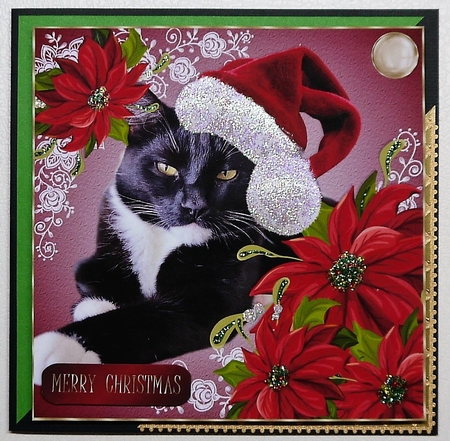 Merry Christmas Winnie by Selina Dittmann