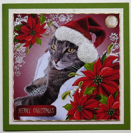  Merry Christmas Ziggy by Selina Dittmann