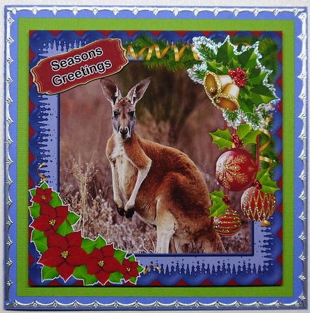 Australian Animals-Kangaroo by Selina Dittmann