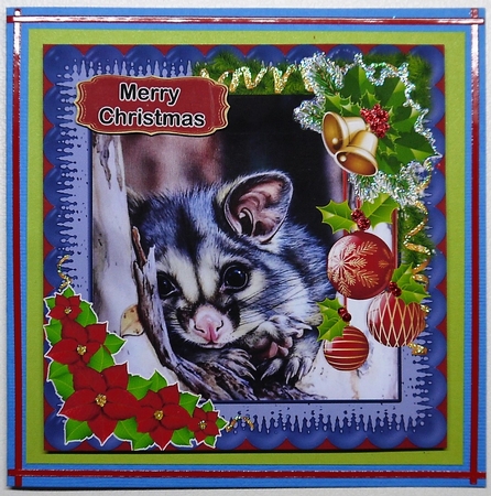 Australian Animals-Possum by Selina Dittmann