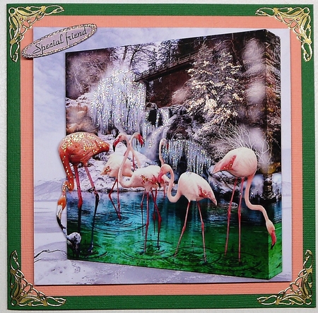 winter flamingos by Selina Dittmann