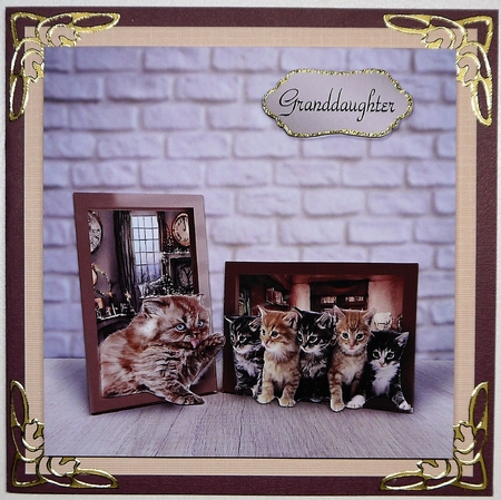 kittens in frames by Selina Dittmann