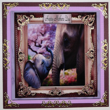 elephant calf by Selina Dittmann