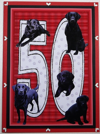 Black Labrador 50th Birthday by Selina Dittmann