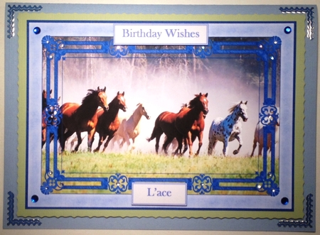 Wild Horses Framed Background by Selina Dittmann