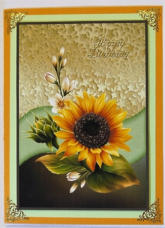 Bright Sunflower by Selina Dittmann