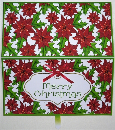 Poinsettia Gift Money/Voucher Pocket Envelope by Selina Dittmann