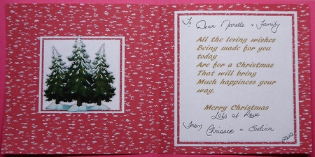 Christmas Incert 4 by Selina Dittmann