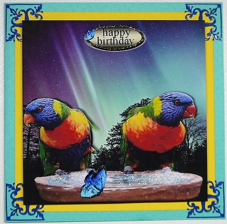 love birds by Selina Dittmann