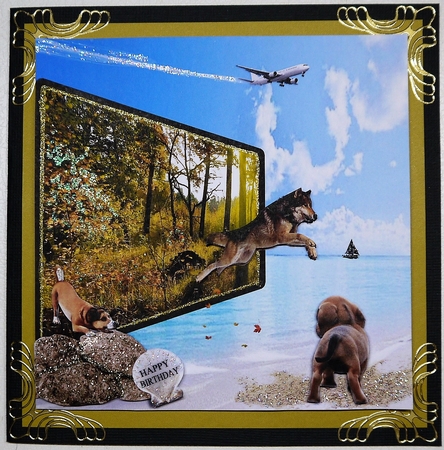 from the forest to the sea by Selina Dittmann