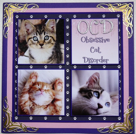 LOVE CATS 6X6 by Selina Dittmann
