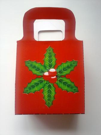 Christmas Holly Gift Bag by Selina Dittmann