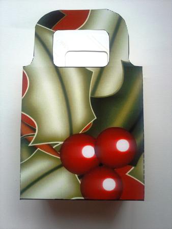 Christmas Holly Days Gift Bag by Selina Dittmann