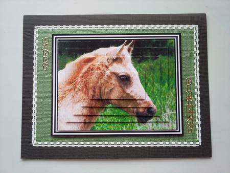Arabian Palomino Foal - Pyramid by Selina Dittmann