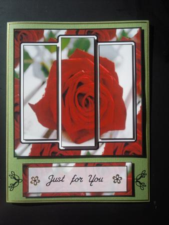 6x6" Gorgeous Red Rose Panel Card by Selina Dittmann