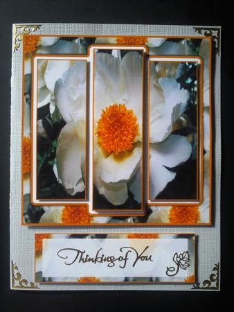 6x6" White Peony Panel Card by Selina Dittmann