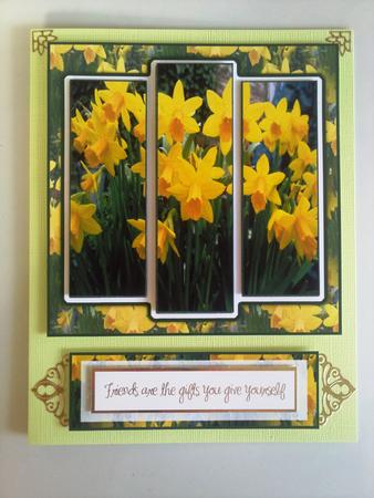 6x6" Pretty Daffodils Panel Card by Selina Dittmann