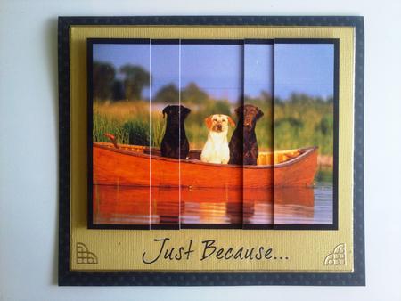 Doggies Day Out on the River by Selina Dittmann